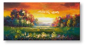 Maľovaný obraz na stenu LÚKA 100x50 cm - 100×50 cm / Klasický 2 cm