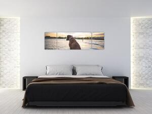 Obraz - sediaci pes (Obraz 170x50cm)