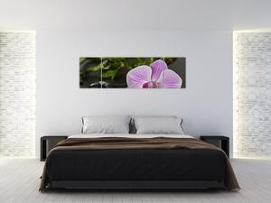 Moderný obraz kvetu (Obraz 170x50cm)