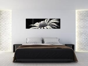 Čiernobiely obraz kvetu (Obraz 170x50cm)