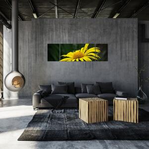 Obraz žltého kvetu (Obraz 170x50cm)