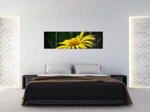 Obraz žltého kvetu (Obraz 170x50cm)