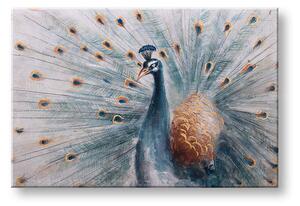 Maľovaný obraz na stenu PÁV 90x60 cm - 90×60 cm / Premium 4 cm