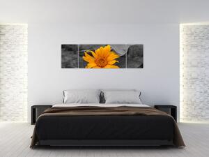 Obraz oranžového kvetu (Obraz 170x50cm)