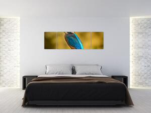 Obraz - farebný vták (Obraz 170x50cm)