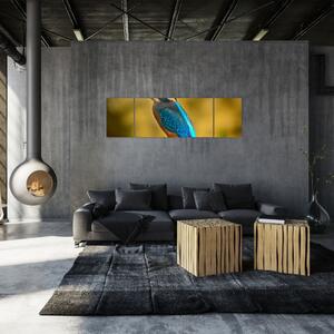 Obraz - farebný vták (Obraz 170x50cm)