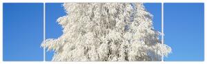 Zasnežený strom - obraz (Obraz 170x50cm)