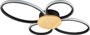 LED Stropné svietidlo SABINA LED/38W/230V kaučukovník