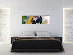 Obraz - papagáj (Obraz 170x50cm)