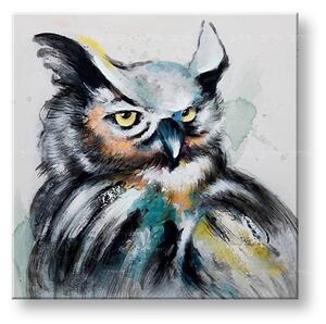 Maľovaný obraz na stenu SOVA 60x60 cm - 60×60 cm / Klasický 2 cm