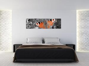 Oranžový motýľ - obraz (Obraz 170x50cm)