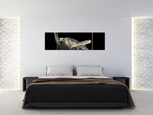 Obraz plávajúce korytnačky (Obraz 170x50cm)