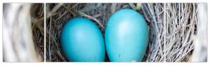 Obraz modrých vajíčok v hniezde (Obraz 170x50cm)