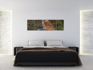 Obrazy zvierat (Obraz 170x50cm)