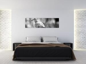 Čiernobiely obraz vtáka (Obraz 170x50cm)