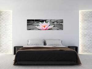 Obraz kvitnúceho lekna (Obraz 170x50cm)
