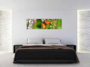 Moderný obraz motýľa na lúke (Obraz 170x50cm)