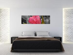 Obraz červeného tulipánu na čiernobielom pozadí (Obraz 170x50cm)