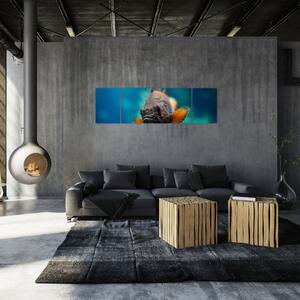Obraz - ryba (Obraz 170x50cm)