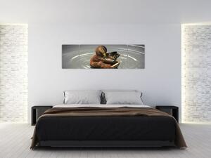 Obraz - kačice vo vode (Obraz 170x50cm)