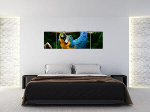 Obraz papagájov na lane (Obraz 170x50cm)