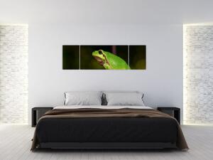 Obraz žaby (Obraz 170x50cm)