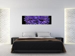 Obraz fialových kvetov (Obraz 170x50cm)