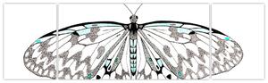 Čiernobiely motýľ (Obraz 170x50cm)