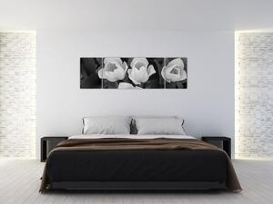 Čiernobiele kvety (Obraz 170x50cm)