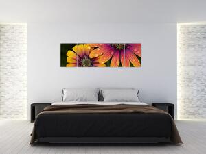 Obraz kvetín (Obraz 170x50cm)