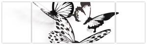 Obraz motýľov (Obraz 170x50cm)