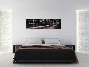 Čiernobiele obrazy (Obraz 170x50cm)