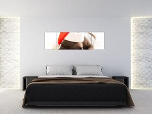Obraz psa s čiapkou (Obraz 170x50cm)