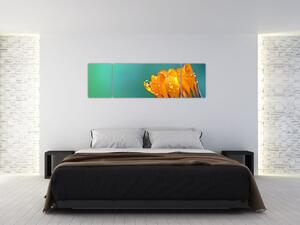 Obraz oranžového kvetu (Obraz 170x50cm)