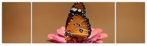 Obraz motýľa (Obraz 170x50cm)