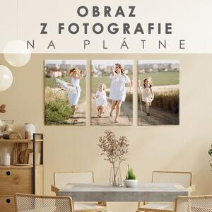 Obraz z fotografie - 3 DIELNY - 60x40 cm