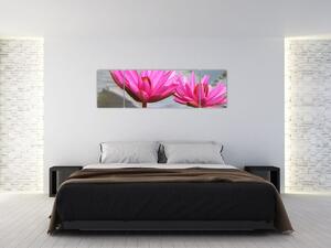 Obraz dvoch kvetov (Obraz 170x50cm)