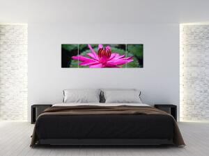 Obraz kvetu (Obraz 170x50cm)