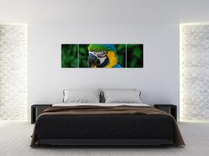 Obraz papagája (Obraz 170x50cm)