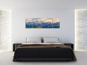 Obraz - panoráma hôr (Obraz 170x50cm)
