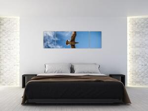 Obraz letiaceho vtáka (Obraz 170x50cm)