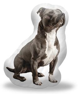 Sablio 3D vankúš Amstaff 44×50cm