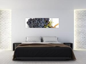 Obraz s hroznovým vínom (Obraz 170x50cm)