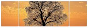 Obraz sa stromom (Obraz 170x50cm)