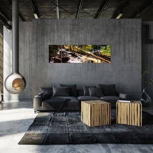 Obraz lesa na stenu (Obraz 170x50cm)