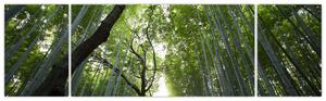 Obraz lesov (Obraz 170x50cm)