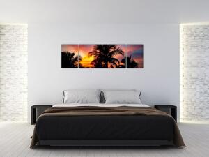 Obraz palmy na stenu (Obraz 170x50cm)