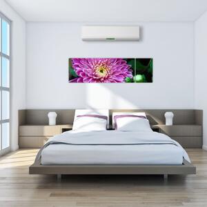 Obraz kvetu na stenu (Obraz 170x50cm)