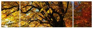 Obraz jesennej krajiny (Obraz 170x50cm)