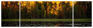 Obraz - jesenná krajina (Obraz 170x50cm)